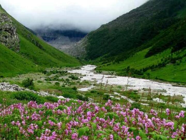 Uttarakhand: क्या पर्यटकों का भारी बोझ उठाने के लिए तैयार हैं उत्तराखंड के पहाड़ी इलाके? जानें- क्या कहते हैं विशेषज्ञ Uttarakhand hilly areas ready take heavy load of tourist Joshimath Mussoorie Nainital tourism Uttarakhand: क्या पर्यटकों का भारी बोझ उठाने के लिए तैयार हैं उत्तराखंड के पहाड़ी इलाके? जानें- क्या कहते हैं विशेषज्ञ