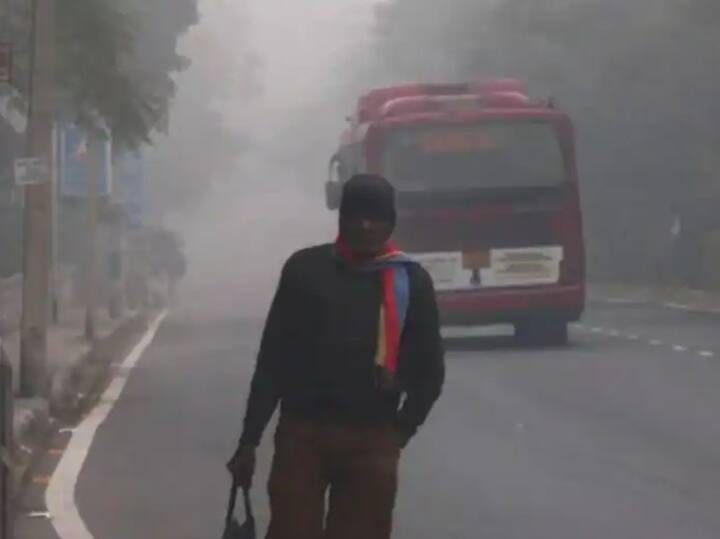 दिल्लीत एकीकडं थंडी तर दुसरीकडं धुक्याची चादर पसरली आहे. तापमानाचा पारा घसरल्यामुळं आणि थंडीची चादर पसरल्यामुळं दिल्लीत जनजीवन विस्कळीत झालं आहे.