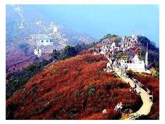 झारखंड: पारसनाथ में शांति के प्रयासों में जुटा प्रशासन, कहा- 'चलती रहेगी भाईचारे की परंपरा'