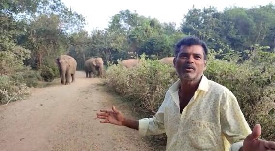 Elephants Troubles Talada Villagers : మన్యం జిల్లాలో హల్ చల్ చేస్తున్న ఏనుగులు | DNN | ABP Desam
