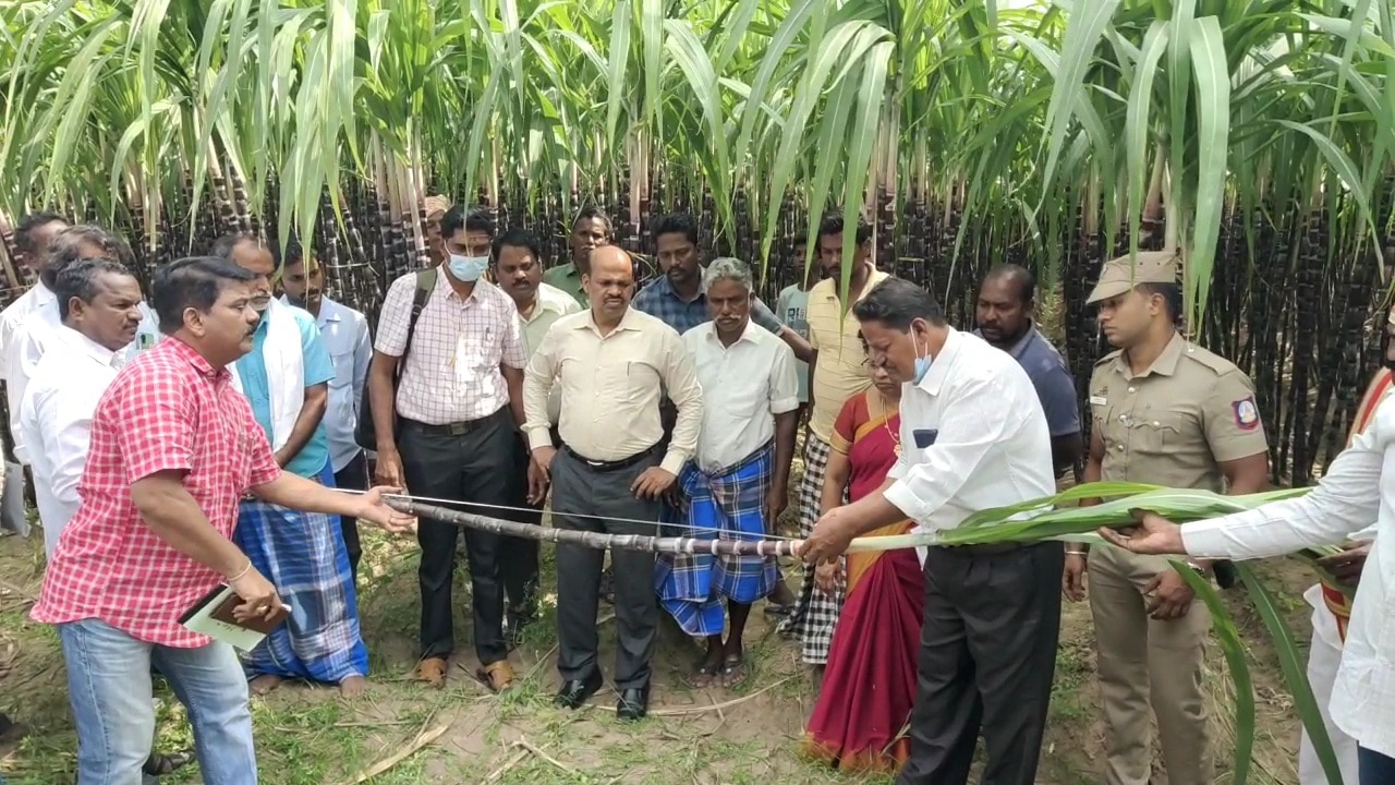 கரும்பு கொள்முதல் ...கறார் காட்டும் கலெக்டர்.. கண்ணீரோடு காத்திருக்கும்  விவசாயிகள்