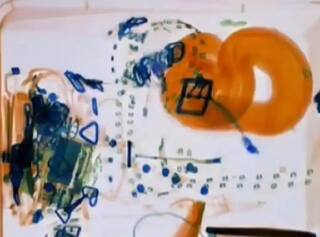 Viral News: ਏਅਰਪੋਰਟ 'ਤੇ ਮਹਿਲਾ ਦੇ ਬੈਗ 'ਚ ਮਿਲਿਆ 'ਪੇਟ' ਸੱਪ, ਏਅਰਲਾਈਨਜ਼ ਨੇ ਜਾਰੀ ਕੀਤੀ ਐਕਸਰੇ ਤਸਵੀਰ