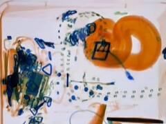 अमेरिका: एयरपोर्ट पर महिला के बैग में मिला 'पालतू' सांप, एयरलाइंस ने जारी की एक्स-रे तस्वीर