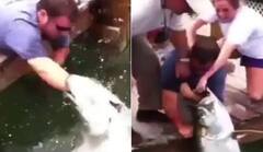 Shocking Video: ਸਮੁੰਦਰ 'ਚ ਮੱਛੀਆਂ ਫੜਨ ਵਾਲੇ ਵਿਅਕਤੀ ਦਾ ਮੱਛੀ ਨੇ ਚੱਬਿਆ ਹੱਥ, ਰੌਲਾ ਪਾਉਂਦੇ ਰਹੇ ਲੋਕ