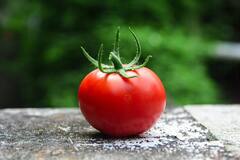 Tomato : लाल-लाल टोमॅटो आरोग्यासाठी गुणकारी तितकाच घातकही; वाचा याचे तोटे