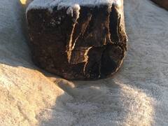 छत्तीसगढ़ के इस जिले में बिछने लगी बर्फ की चादर! मौसम को लेकर जारी हुई चेतावनी