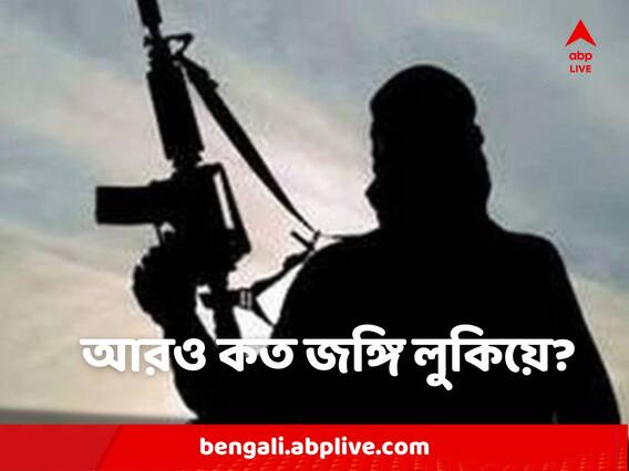 IS Militants Arrested: 'যারা ধরা পড়ল, তারা হিমবাহের চূড়া', জঙ্গি-গ্রেফতারে সিঁদুরে মেঘ দেখছেন বিশেষজ্ঞরা