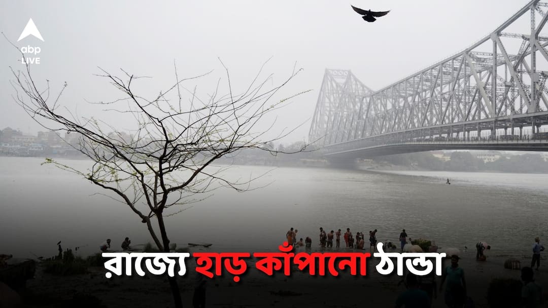 West Bengal Weather Today Winter Cold wave may hit district Kolkata Updates Weather Today: শহর থেকে জেলা, রাজ্যজুড়ে হাড় কাঁপানো ঠান্ডা! জেলায় জেলায় শৈত্যপ্রবাহের সম্ভাবনা