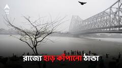 শহর থেকে জেলা, রাজ্যজুড়ে হাড় কাঁপানো ঠান্ডা! জেলায় জেলায় শৈত্যপ্রবাহের সম্ভাবনা
