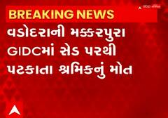 Vadodara: ‘કંપનીએ કોઈ સેફ્ટીના સાધન નથી આપ્યા..’ શેડ પરથી પટકાતા શ્રમિકનું મોત થતા કર્મચારીઓમાં રોષ