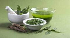 Winter Hair Care: डैंड्रफ से छुटकारा दिलाएंगे ये 5 इफेक्टिव DIY रेमेडीज़, सर्दी में रखेंगे आपके बालों का ख्याल