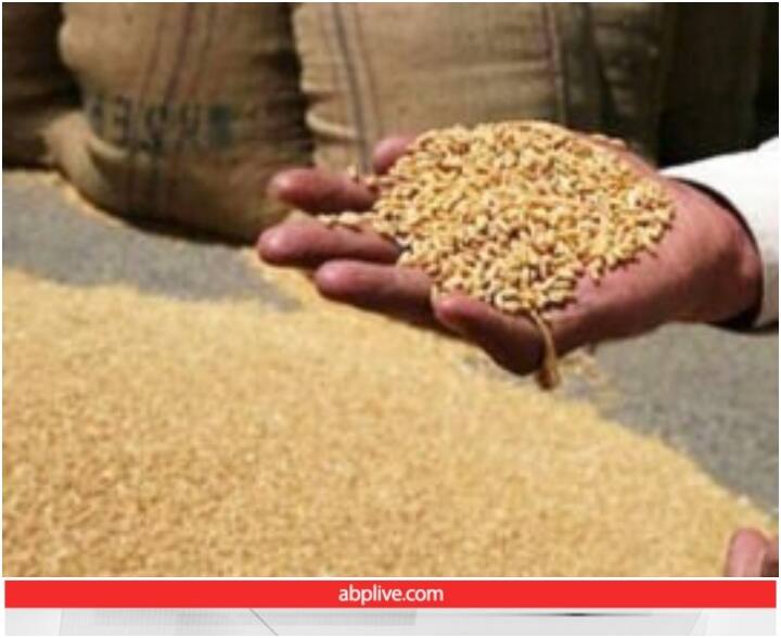 Trending: जब 1.6 रुपये प्रति किलो मिलता था गेहूं, इंटरनेट पर वायरल हो रहा है बिल का एक फोटो wheat being sold at 1 rupee 60 paisa per kg in 1987 Trending: जब 1.6 रुपये प्रति किलो मिलता था गेहूं, इंटरनेट पर वायरल हो रहा है बिल का एक फोटो