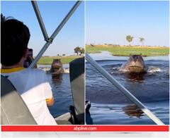 गुस्सैल दरियाई घोड़े ने पर्यटकों की बोट पर किया हमला, रोंगटे खड़े कर देगा वीडियो