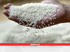 Boka Rice: क्या कभी देखा है ठंडे पानी में पकने वाला ये जादुई चावल, असम का है ये अजूबा, जिसे मिला जीआई टैग