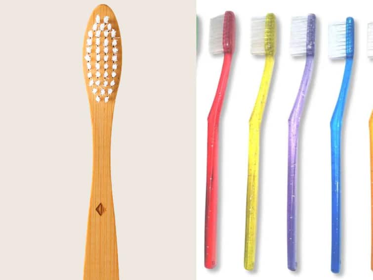 plastic or bamboo Which toothbrush is better the difference between the two toothbrush Bamboo Toothbrush:  कोणता टूथब्रश चांगला... प्लास्टिक की बांबू? जाणून घ्या दोन्हीमधील फरक