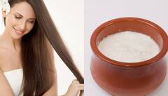 Winter Hair Care: डैंड्रफ से छुटकारा दिलाएंगे ये 5 इफेक्टिव DIY रेमेडीज़, सर्दी में रखेंगे आपके बालों का ख्याल
