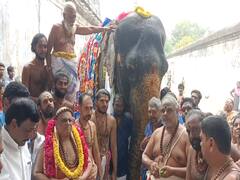 53 வயது அபயாம்பிகை யானை; 2 நாட்கள் கோலாகலமாக நடந்த பொன்விழா!