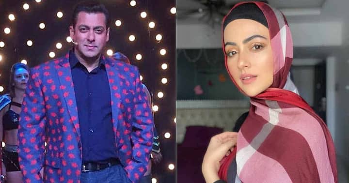 Sana Khan: Sana Khan was a part of Bigg Boss season 6. During her journey, she managed to grab the attention of Salman Khan which made her enter the big screen. Sana grabbed her role in the 2014 release ‘Jai Ho’ opposite Salman Khan.