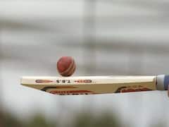 कश्मीर में क्रिकेट बैट उद्योग बंद होने की कगार पर, 1 लाख से अधिक लोगों के रोजगार पर असर