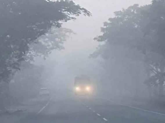 Driving Tips : Use some Important Tips in Foggy Weather to Drive Your Car Safely Driving Tips: ધુમ્મસના કારણે ડ્રાઈવિંગ કરવામાં પડે છે મુશ્કેલી? આ ટિપ્સને કરો ફોલો