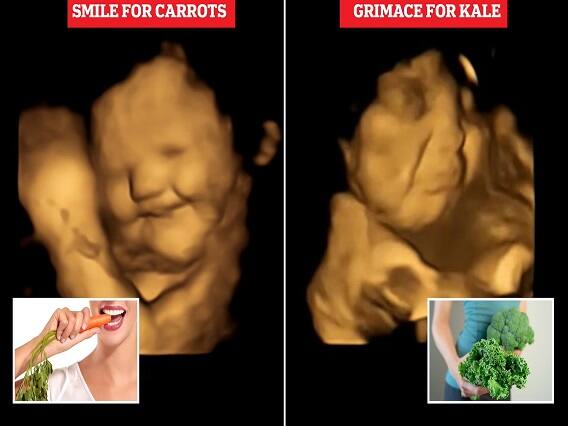 Study finds eating carrots makes babies in womb happy, kale turns them sad Pregnancy me Gajar Khane ke Fayde: પ્રેગ્નન્સી દરમિયાન ગાજર ખાવાથી બાળક થાય છે ખુશ, અભ્યાસમાં થયો ખુલાસો