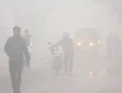 Delhi Weather Update: થીજવી નાંખશે જાન્યુઆરી, 1.9 ડિગ્રી નોંધાયું તાપમાન, તસવીરો જુઓ ઠંડીમાં ઠુંઠવાતુ દિલ્હી