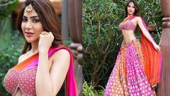 Nikki Tamboli: ਬਿੱਗ ਬੌਸ ਫੇਮ ਨਿੱਕੀ ਤੰਬੋਲੀ ਨੇ ਲਹਿੰਗਾ 'ਚ ਕਰਵਾਇਆ ਬੋਲਡ ਫੋਟੋਸ਼ੂਟ, ਫੋਟੋਆਂ ਤੋਂ ਨਜ਼ਰਾਂ ਨਹੀਂ ਹਟਾ ਪਾ ਰਹੇ ਪ੍ਰਸ਼ੰਸਕ