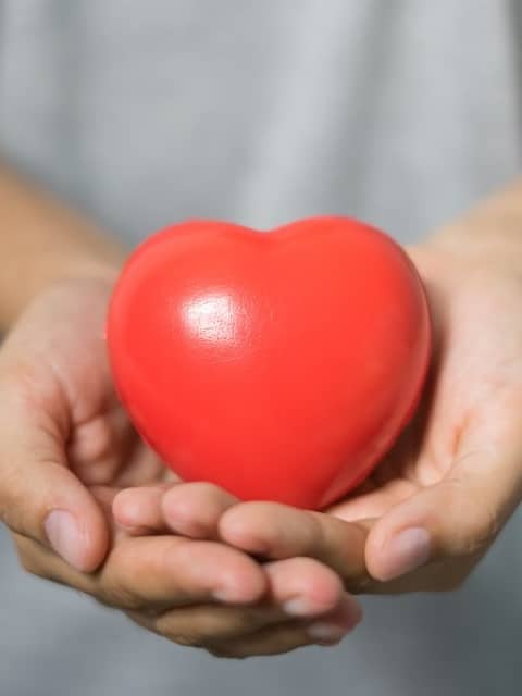 শীতে বাড়ে হার্ট অ্যাটাকের শঙ্কা, সুস্থ রাখতে অবশ্যই মানুন এই টিপস