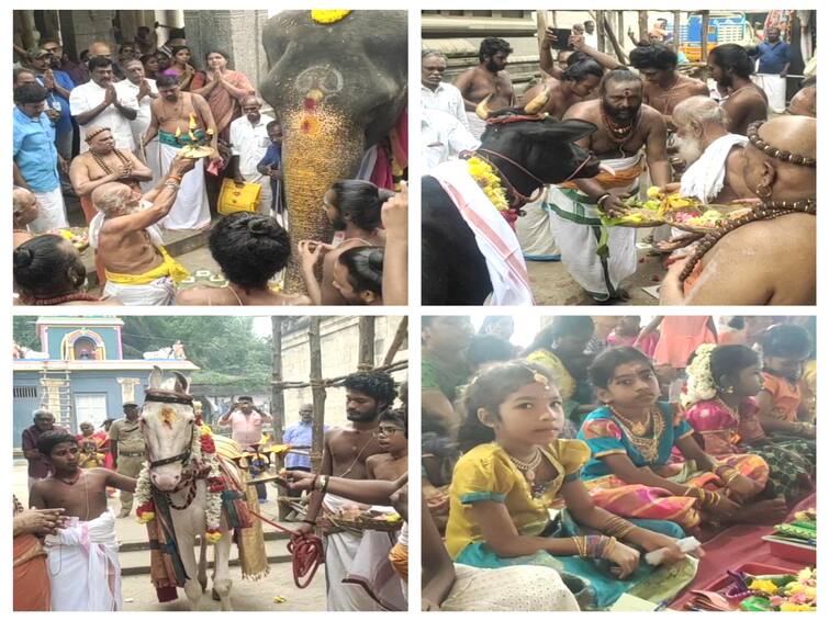 Mayiladuthurai Mayuranathar Temple Various types of special pooja TNN சிறுகுழந்தைகளை அம்மனாக பாவித்து மயிலாடுதுறை மயூரநாதர் கோயிலில்  சிறப்பு வழிபாடு!