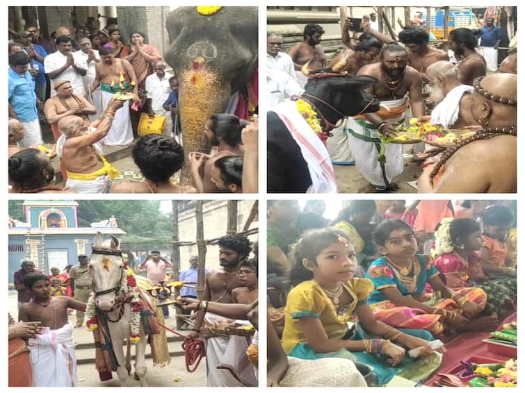 சிறுகுழந்தைகளை அம்மனாக பாவித்து மயிலாடுதுறை மயூரநாதர் கோயிலில் சிறப்பு வழிபாடு! Mayiladuthurai Mayuranathar Temple Various types of special pooja TNN சிறுகுழந்தைகளை அம்மனாக பாவித்து மயிலாடுதுறை மயூரநாதர் கோயிலில் சிறப்பு வழிபாடு!