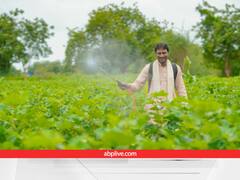 ये समुद्री शैवाल बढ़ाएगा फसल की पैदावार, सिर्फ 1 लीटर की बोतल से मिलेंगे दमदार फायदे