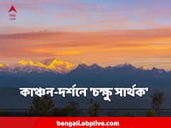 কুয়াশার জাল ছিঁড়ে রোদের ঝিলিক আর কাঞ্চন দর্শন, সপ্তাহের শুরুতেই ঝলমলে দার্জিলিং