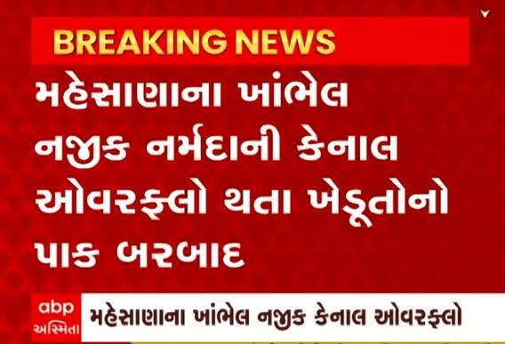 Mehsana: નર્મદા કેનાલ ઓવરફ્લો થતા ખેડૂતોની વધી ચિંતા, 100 વિઘા જમીન પર ફરી વળ્યું પાણી