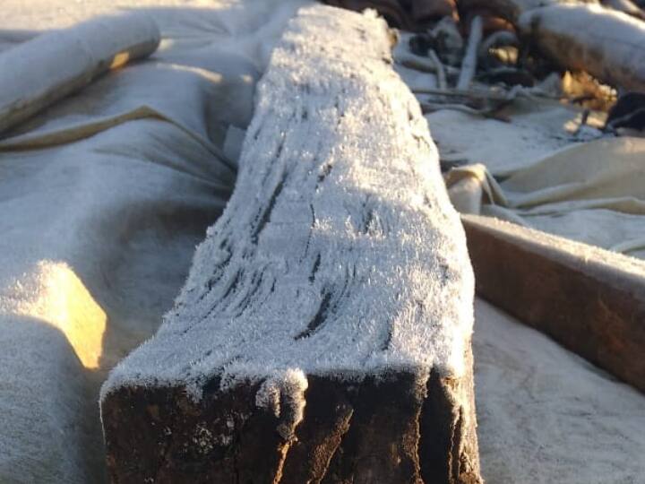 बता दें कि सरगुजा संभाग में अचानक बढ़ी ठंड ने किसानों की चिंता बढ़ा दी है. किसान धान कटाई, मिंजाईं के बाद खाली पड़े खेतों में गोभी, टमाटर, बैगन, मटर जैसे फसल लगाए हुए हैं. जो ठंड की वजह से काला पड़ रहा है. इससे किसानों को बड़ा नुकसान होने का अंदेशा सता रहा है.