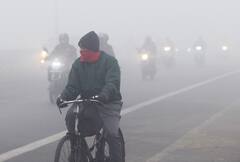 Weather Update : महाराष्ट्रात पारा पुन्हा घसरला, पुढील दोन दिवसात तापमानात घट होण्याची शक्यता