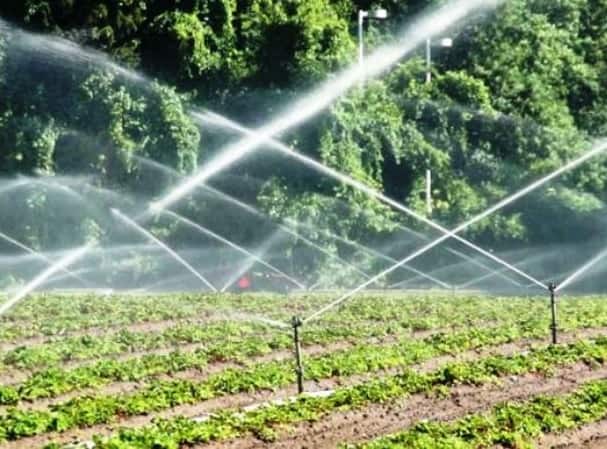 90% Subsidy on Drip, Sprinkler and Rain Gun Irrigation System Under Micro Irrigation Scheme Sinchai Yojana: ડ્રિપ, સ્પ્રિંકલર અને રેન નગ સિસ્ટમ પર સરકાર આપી રહી છે અધધ 90 ટકા સબસિડી