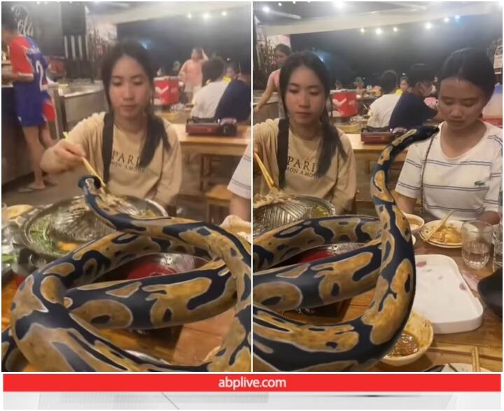 Two young women are seen having dinner with a giant snake in a restaurant Video: काफी बड़े सांप के साथ रेस्टोरेंट में खाना खाने पहुंचीं लड़कियां, रोंगटे खड़े कर देगा ये वीडियो