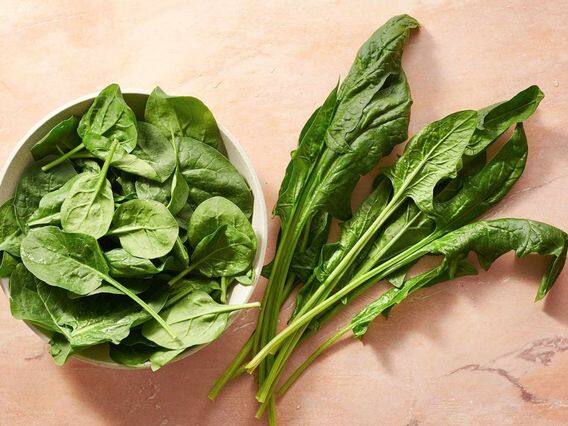Side Effects Of Spinach: Eating too much spinach in winter can cause these problems Side Effects Of Spinach: શિયાળામાં વધુ પાલક ખાવાથી થઈ શકે છે આ સમસ્યાઓ