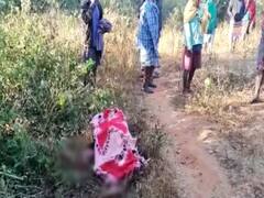 जशपुर: साइकिल से घर लौट रहे युवक को दंतैल हाथी ने उतारा मौत के घाट, इलाके में फैली दहशत