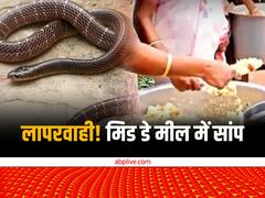 बंगाल: मिड डे मील में मिला सांप, 30 से ज्यादा बच्चे बीमार- पैरेंट्स ने किया हंगामा