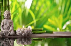 வீட்டிலிருந்து எதிர்மறை சக்திகள் விலகி ஓடணுமா? வாஸ்து நிபுணர்கள் கொடுக்கும் டிப்ஸ் இவைதான்