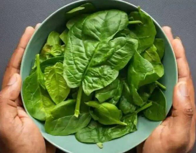 Side Effects Of Spinach Consuming spinach can increase many health problems along with stone Side Effects Of Spinach: ਸਰਦੀਆਂ 'ਚ ਜ਼ਿਆਦਾ ਪਾਲਕ ਖਾਣ ਨਾਲ ਹੋ ਸਕਦੀ ਹੈ ਸਮੱਸਿਆ, ਜਾਣੋ ਕਿਉਂ ਜ਼ਿਆਦਾ ਖਾਣ ਤੋਂ ਮਨ੍ਹਾ ਕਰਦੇ ਹਨ ਮਾਹਿਰ