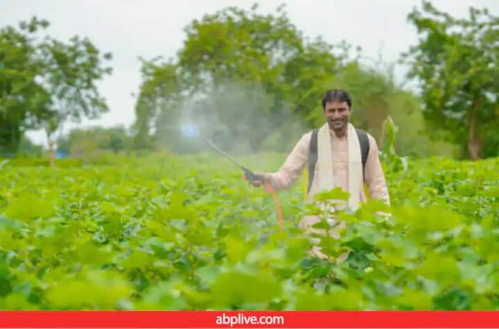 IFFCO Sagarika Bio Fertilizer made from seaweed improves crop quality and productivity Chemical Fertilizer Chemical Fertilizer ਛੱਡੋ... ਇਹ ਸਮੁੰਦਰੀ ਕਾਈ ਵਧਾਏਗੀ ਫਸਲ ਦੀ ਪੈਦਾਵਾਰ, ਸਿਰਫ 1 ਲੀਟਰ ਦੀ ਬੋਤਲ ਨਾਲ ਮਿਲਣਗੇ ਅਨੇਕਾਂ ਲਾਭ  