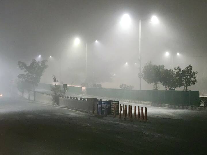 delhi weather update delhi weather news delhi train cancel delhi airport flight Delhi Weather News: कोहरे और ठंड से ठिठुरी राजधानी, 277 ट्रेनें कैंसिल, 50 के रूट बदले, फ्लाइट्स पर भी असर