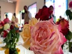 Akola News: तब्बल 14 प्रकारचे रंगीबेरंगी गुलाब अन् बरंच काही; अकोल्यातील पुष्प प्रदर्शनाची बातच न्यारी