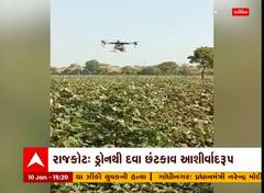 Rajkot: ડ્રોનથી દવાના છંટકાવ ખેડૂતો માટે આશીર્વાદ રૂપ, જુઓ કેવી રીતે ખેડૂતો કરી રહ્યા છે ઉપયોગ?
