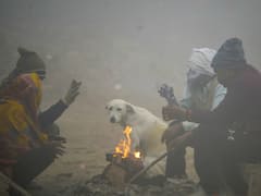 महाराष्ट्र में अभी और बढ़ेगी ठंड, कई इलाकों में शीत लहर का कहर, जानें- मुंबई का हाल
