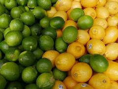 Benefits of Lemon: रोजच्या आहारात लिंबाचा समावेश करा, खूप फायदे होतील!