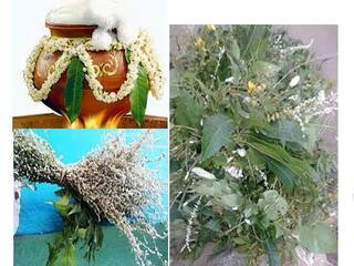 pongal 2023: தை பொங்கலுக்கு முதல் நாள்  ‘காப்பு கட்டுவது’ ஏன் தெரியுமா..?