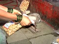 Makar Sankranti 2023: मकर संक्रांतीच्या सणावर महागाईचं सावट, तिळाच्या दरात ४० रुपयांची वाढ